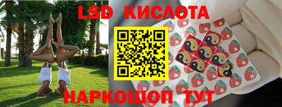 apvp Краснодар