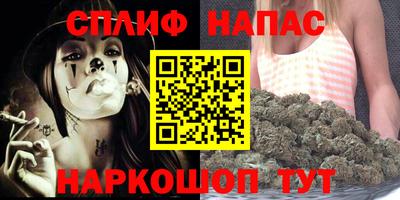apvp Краснодар