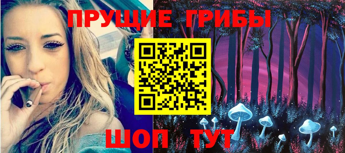 Псилоцибиновые грибы мицелий  наркошоп  Псилоцибиновые грибы Magic Shrooms  Вологда  Вход с VPN 
