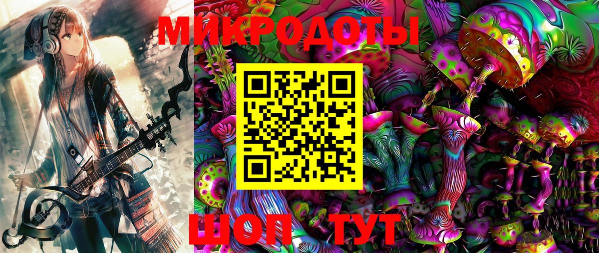Псилоцибиновые грибы Cubensis Вологда